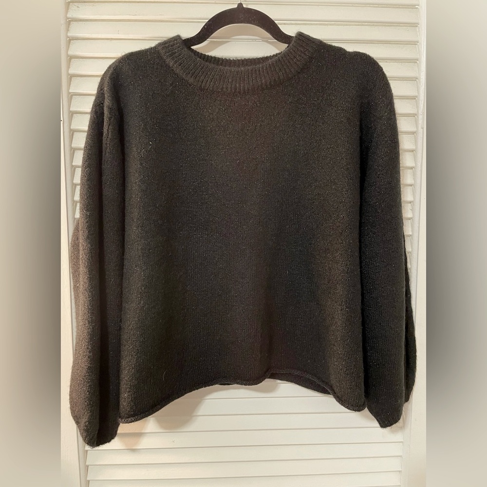 Black sparkly sweater. Never worn. Tags on